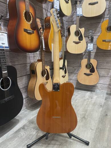 Store Special Product - Fender Custom Shop - 923-5001-176